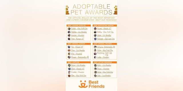 Best Friends Animal Society, headquartered in Kanab, Utah, is hosting its first Adoptable Pet Awards, with eight different award categories — including Beset Original Barker and Best Action Sequence.
