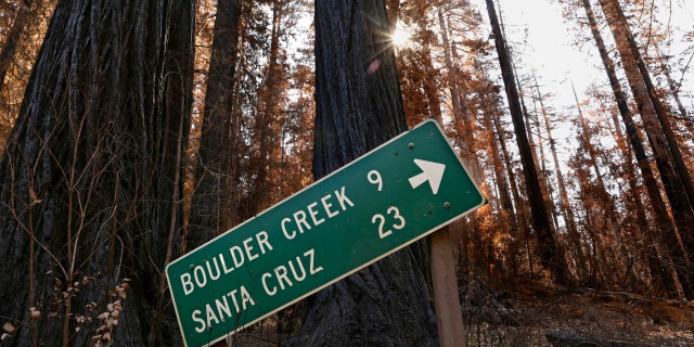 The Big Basin Redwoods State Park in California