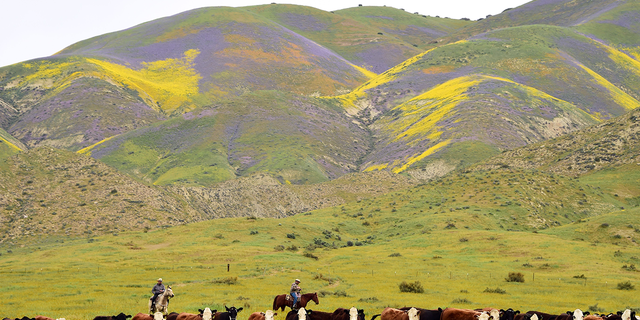 Ranchers have warned Biden's new water rule causes "uncertainty" and unnecessary government regulation. 