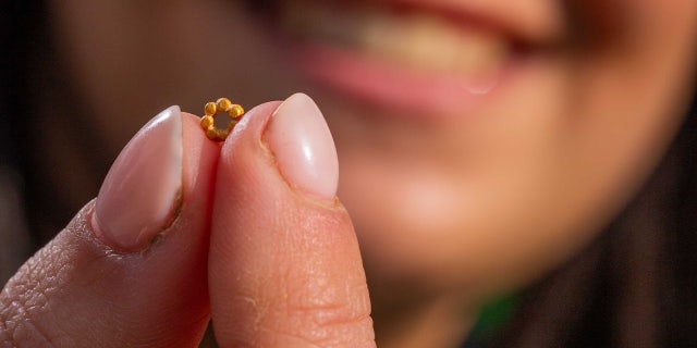 Hallel Feidman with the rare gold bead on Feb. 8, 2023. The gold bead was discovered in Israel Antiquities Authority excavations in the City of David.