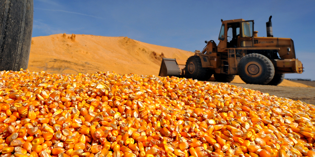 Mexico's proposed ban on GMO corn has led the United States to seek opportunities for trade negotiations.
