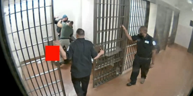 The officer is seen punching Damien Stewart, who confronted him after his head was rubbed during a pat down inside a Chicago holding cell in 2019.