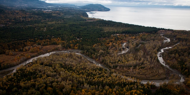 The human foot was discovered near the mouth of the Elwha River in Port Angeles, Washington, in December 2021.