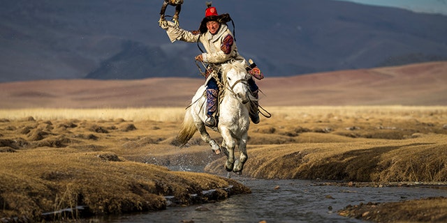 NatGeo photo contest honorable mention: Asiilbek, a nomadic Kazakh eagle hunter, preps his golden eagle, Burged, for a horseback hunt in the grasslands outside Bayan-Ölgii, the westernmost province of Mongolia. 