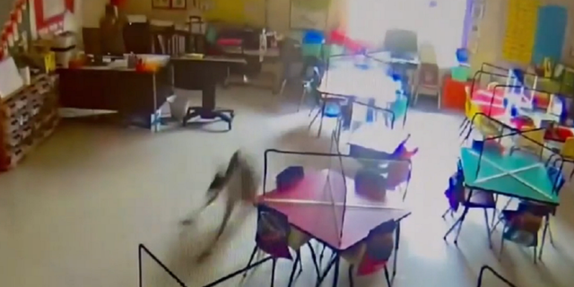 The deer was seen landing after jumping through a window at the Evergreen Elementary School in Evergreen, Alabama, on Feb. 11.