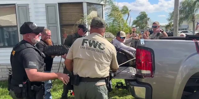 Moments before fatal Florida gator attack on 85-year-old woman caught ...