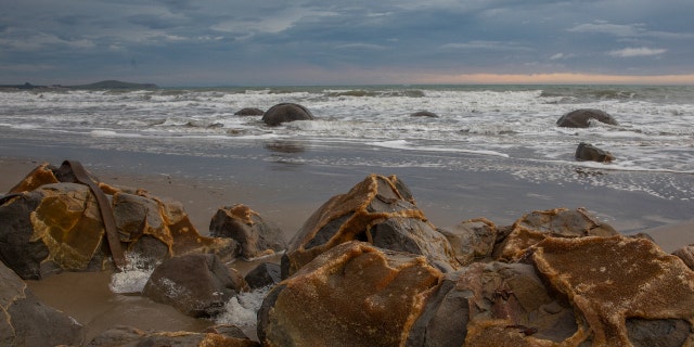 Moeraki Boulders are seen at Koekohe Beach in Moeraki, New Zealand, on November 21, 2020. According to scientists, the Moeraki Boulders formation began about 60 million years ago.