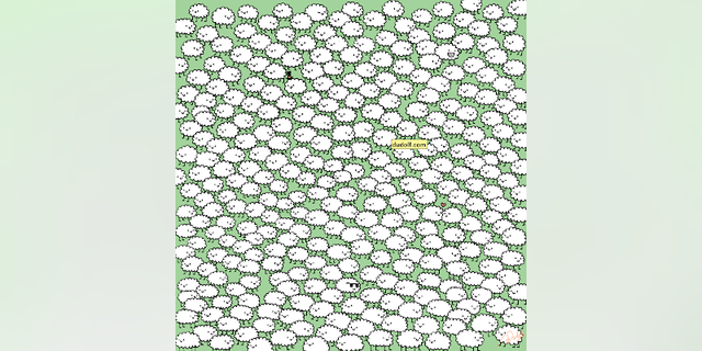 Gergely Dudás, a graphic artist from Budapest, Hungary, drew a picture of three white clouds hidden in a flock of white sheep. Can you find it?