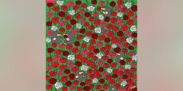 Gergely Dudás, a graphic artist from Budapest, Hungary, drew a picture of three tiny hearts hidden in a multicolored rose garden in honor of Valentine's Day. Can you find it?
