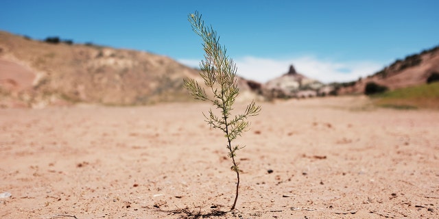 GALLUP, NEW MEXICO - JUNE 07: A dry landscape stands on Navajo Nation lands on June 07, 2019 in the town of Gallup, New Mexico. 