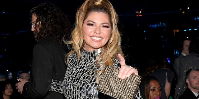 Shania Twain says her song "Inhale/Exhale AIR" was inspired by her recent health struggle.