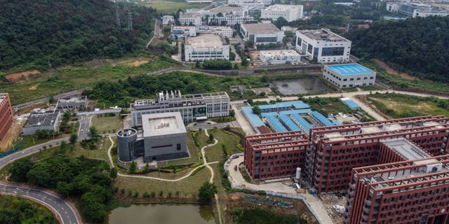 This aerial view shows the P4 laboratory, center left, on the campus of the Wuhan Institute of Virology in Wuhan in China's central Hubei province May 27, 2020.
