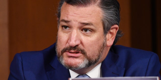 Senator Ted Cruz, R-TX, at the Senate Judiciary Committee on Capitol Hill in Washington, DC, on October 13, 2020. 