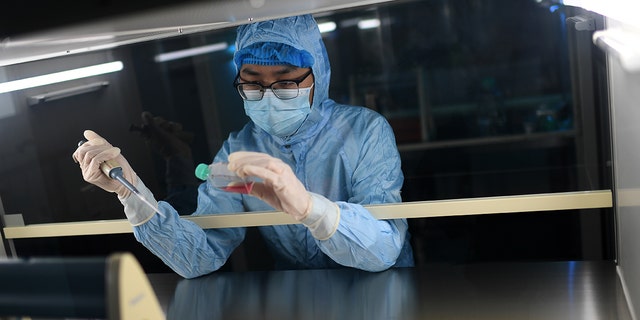 A researcher works in a lab in Wuhan in central China. A new House committee memo says Dr. Fauci pushed researchers to disprove the lab leak theory at the start of the pandemic. 