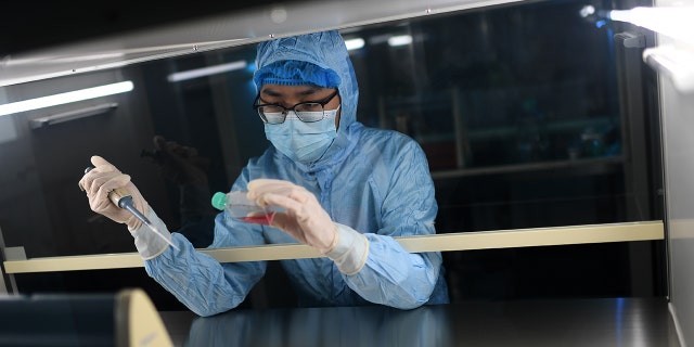 A researcher works in a lab in Wuhan in central China, Hubei province, Oct. 12, 2021. 