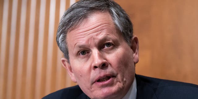 Sen. Steve Daines, R-Mont., was recently elected chair of the NRSC.