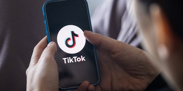 In this photo illustration, a TikTok App Logo is displayed on a mobile phone.