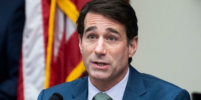 Rep. Garret Graves, R-La., speaks during a hearing on Feb. 7.