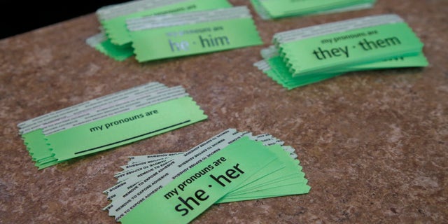 The University of House "Respect for Pronouns" bill suggested name tags include pronouns at SGA meetings.