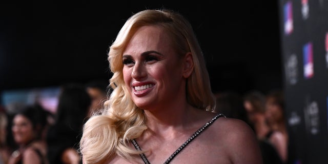 Rebel Wilson sails she met Harry and Meghan through a mutual polo player friend. 