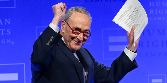 Sen. Chuck Schumer took to Twitter on Tuesday to celebrate the 100th justice nominee confirmed under President Joe Biden.