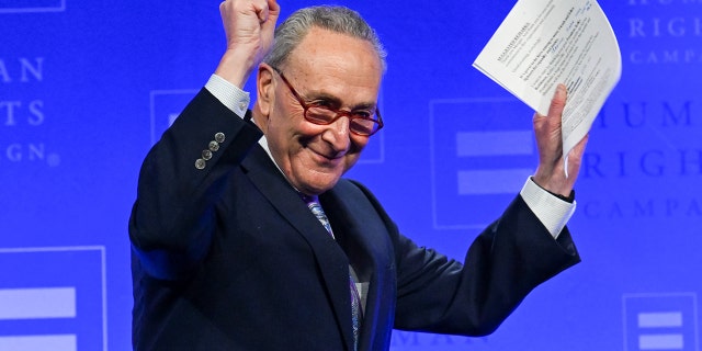 Sen. Chuck Schumer took to Twitter on Tuesday to celebrate the 100th justice nominee confirmed under President Joe Biden.