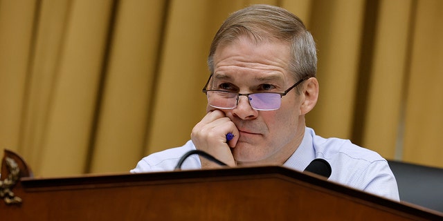 House Judiciary Committee Chairman Jim Jordan launched a probe into the murder of 20-year-old Maryland woman Kayla Hamilton, allegedly by an MS-13 gang member.