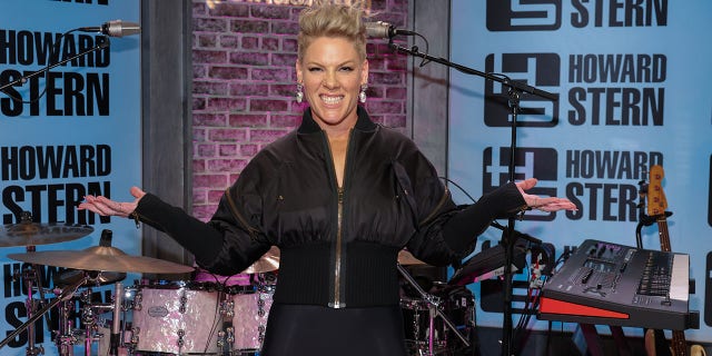 Pink told Howard Stern about the incident with Madonna on Wednesday. 