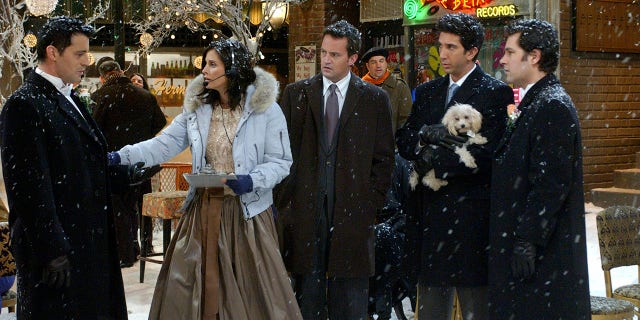 Paul Rudd, right, stands alongside lead cast members from left to right, Matt Leblanc, Courteney Cox, David Schwimmer and Matthew Perry in one of the final episodes of 