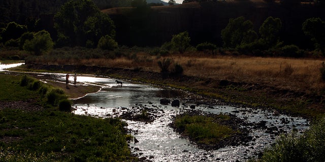 Visitors play with their dog in the West Fork of the Gila River in the Gila National Forest of New Mexico.