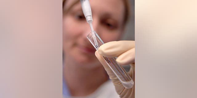 BER 12:  A laboratory worker fills a test tube at the Sydney IVF Clinic in Sydney, Australia, Thursday, October 12, 2006. Australia's government spends about A$100 million a year subsidizing fertility treatments.  