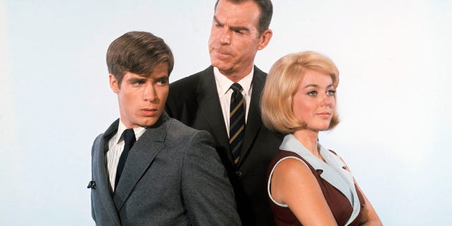 According to Tina Cole, it didn't take long for a romance to blossom with her co-star Don Grady.