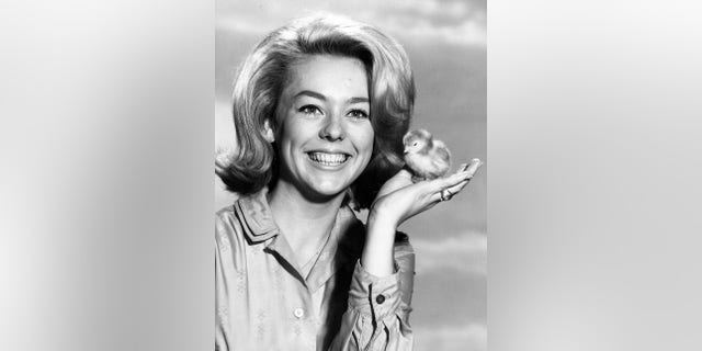 Tina Cole said she didn't know Don Grady didn't want her as his love on "My three sons."