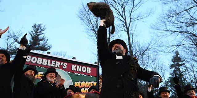 Groundhog Club handler A.J. Dereume holds Punxsutawney Phil during the 136th celebration of Groundhog Day in Punxsutawney, Pennsylvania, on Feb. 2, 2022.