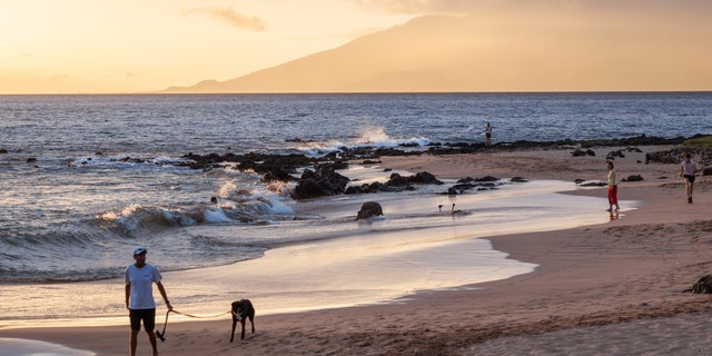 Beachgoers enjoy the sunset. One walks his dog, another holds a net, one jogs. Keawakapu Beach, Kihei, Maui, Hawaii, USA. Taken May 14, 2014.