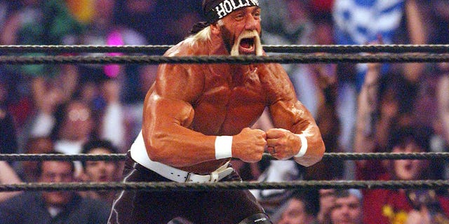 Hollywood Hulk Hogan is shown at WrestleMania X8.