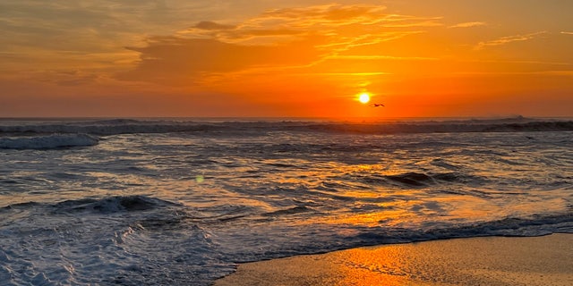 Sunrise Duck NC