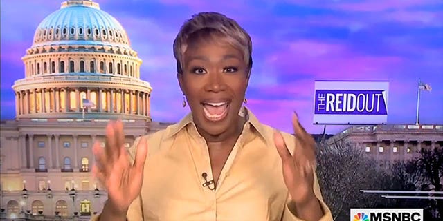 MSNBC host Joy Reid praised the 65th Grammy Awards as a celebration of "diversity."