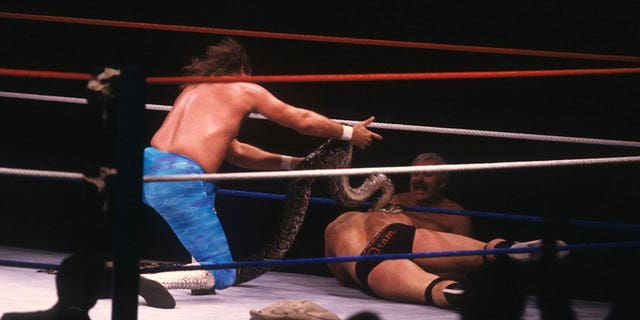 Jake "The Snake" Roberts puts his snake on Dino Bravo after their WWF match on Nov. 6, 1987 at the Nassau Coliseum in Uniondale, New York.