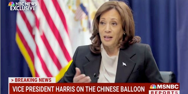 Vice President Kamala Harris dismissed "political chatter" about her and President Biden's unpopularity during an interview with MSNBC's Andrea Mitchell.