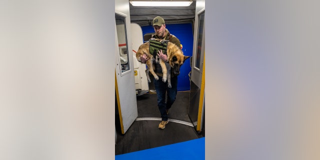 Lyle carried Kaya onto the airplane for her final flight, as walking had become difficult for her due to her illness.