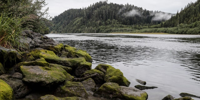 Klamath, CA, Thursday, June 10, 2021 - The Yurok Tribe offers Redwood Yurok canoe tours on the Klamath River.