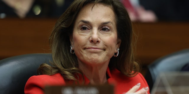 Rep. Lisa McClain (R-MI) participates in a House Oversight and Reform Committee meeting in the Rayburn House Office Building January 31, 2023 in Washington, DC