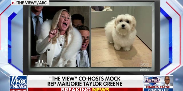 'The View' co-hosts mock Marjorie Taylor Greene for the jacket she wore to Biden's State of the Union.