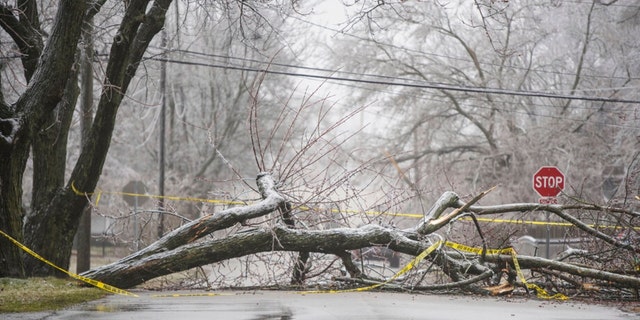 Ice storm damage in the Milwood neighborhood in Kalamazoo, Michigan, on Thursday, Feb. 23, 2023. 