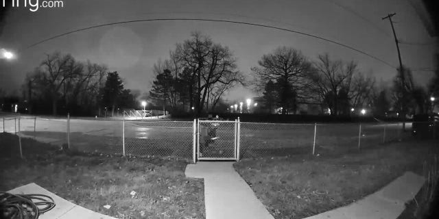 A Michigan man was arrested after he allegedly was caught peeking into the windows of multiple homes in the Detroit area for the past three months.