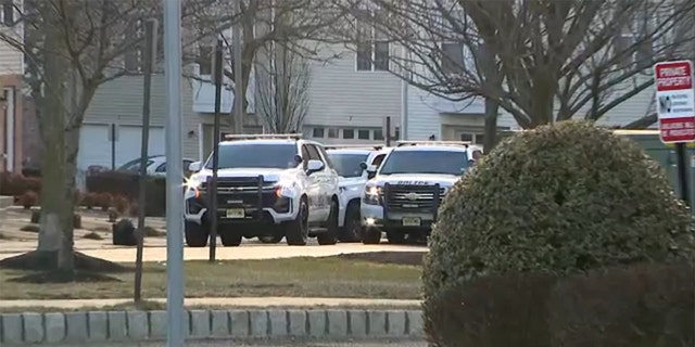 Police vehicles are seen near where Sayreville, New Jersey Councilwoman Eunice Dwumfour was shot outside her home Wednesday, Feb. 1, 2023.