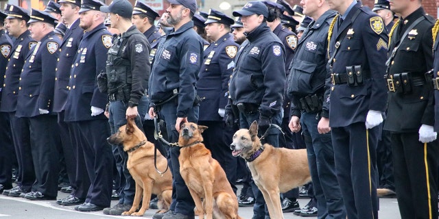 NYPD Officers form a guard of honor for slain officer, Adeed Fayaz in Brooklyn, NY, Thursday, February 9, 2023.