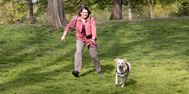 A PAWS NY unpaid moving pinch a client's dog.