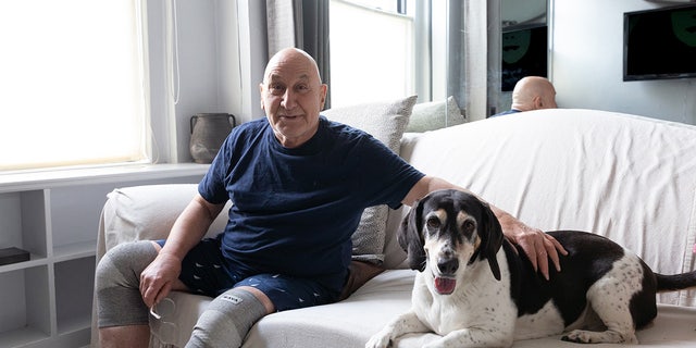 A PAWS NY customer and his dog. Pets Are Wonderful Support (PAWS) NY is simply a nonprofit that's dedicated to helping older and susceptible adults return attraction of their pets. 